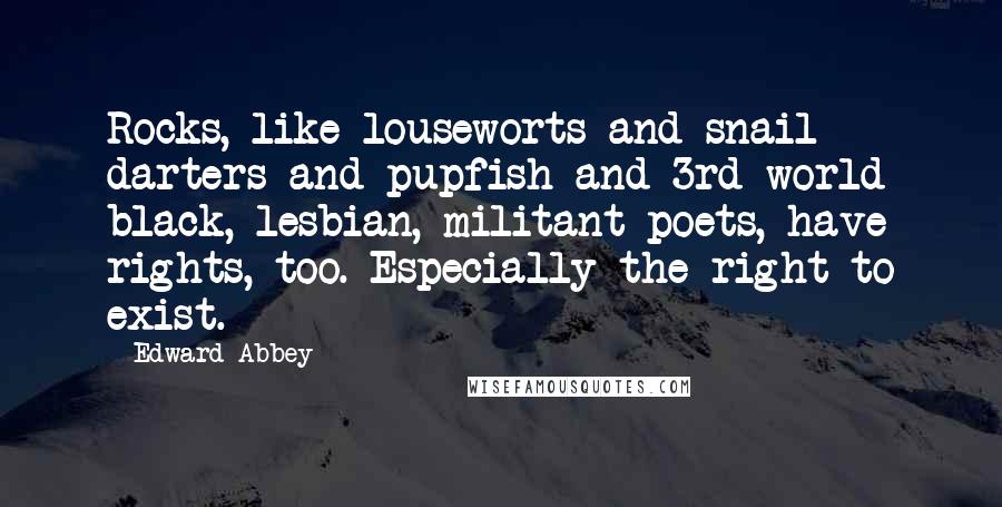 Edward Abbey Quotes: Rocks, like louseworts and snail darters and pupfish and 3rd-world black, lesbian, militant poets, have rights, too. Especially the right to exist.