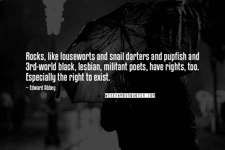 Edward Abbey Quotes: Rocks, like louseworts and snail darters and pupfish and 3rd-world black, lesbian, militant poets, have rights, too. Especially the right to exist.