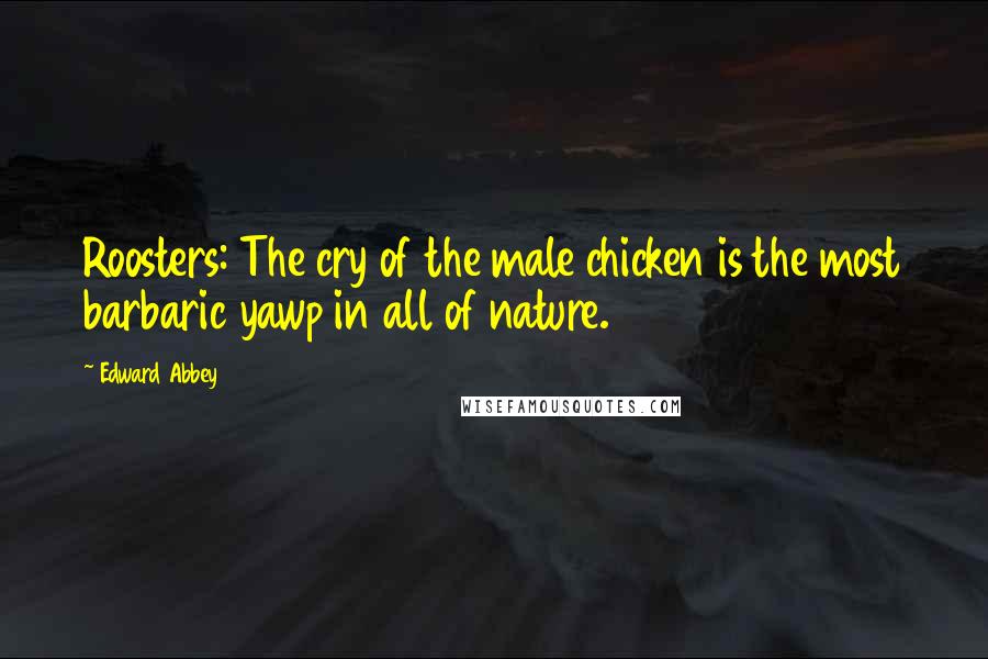 Edward Abbey Quotes: Roosters: The cry of the male chicken is the most barbaric yawp in all of nature.