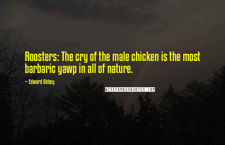 Edward Abbey Quotes: Roosters: The cry of the male chicken is the most barbaric yawp in all of nature.