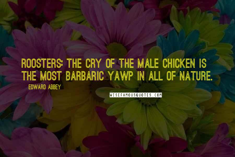 Edward Abbey Quotes: Roosters: The cry of the male chicken is the most barbaric yawp in all of nature.