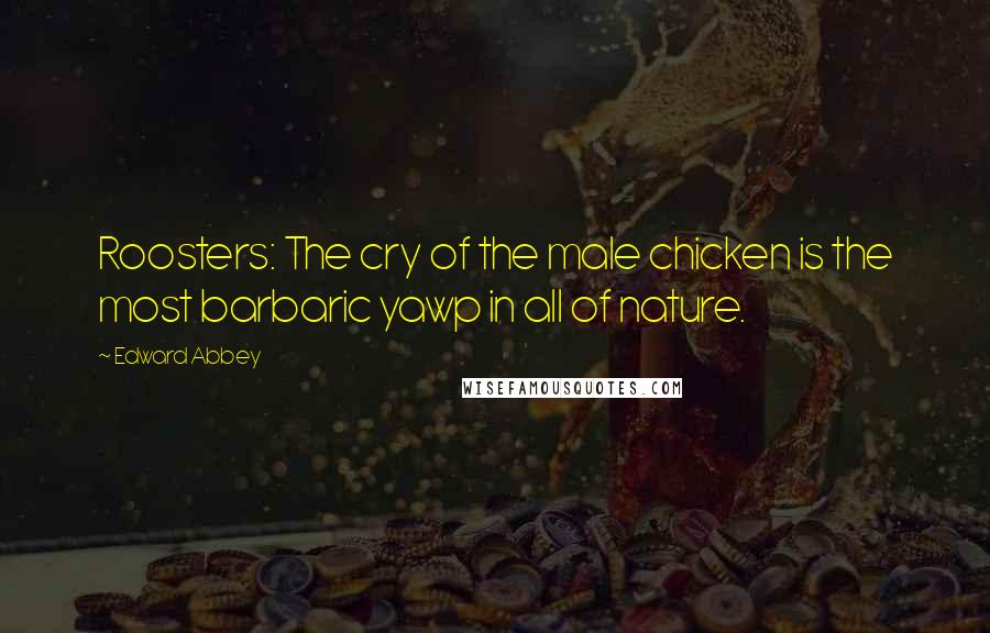 Edward Abbey Quotes: Roosters: The cry of the male chicken is the most barbaric yawp in all of nature.