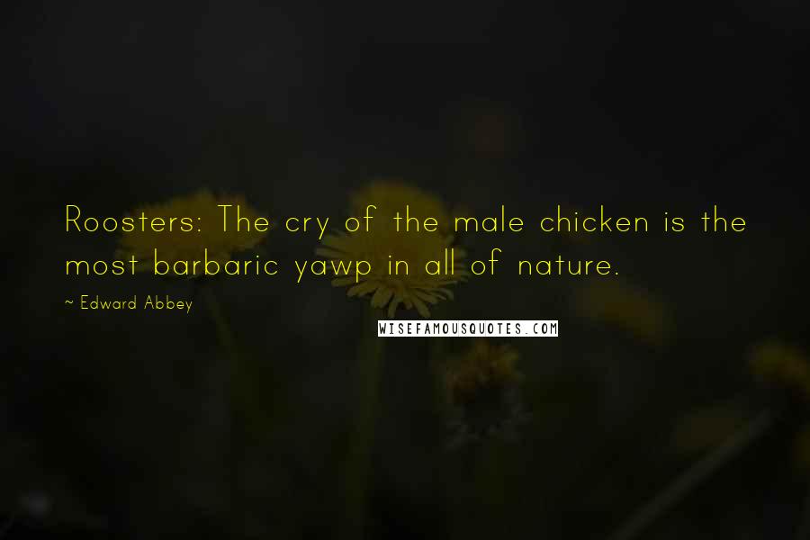 Edward Abbey Quotes: Roosters: The cry of the male chicken is the most barbaric yawp in all of nature.