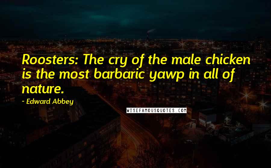 Edward Abbey Quotes: Roosters: The cry of the male chicken is the most barbaric yawp in all of nature.