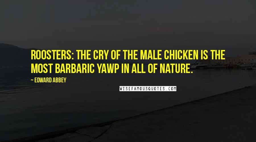 Edward Abbey Quotes: Roosters: The cry of the male chicken is the most barbaric yawp in all of nature.