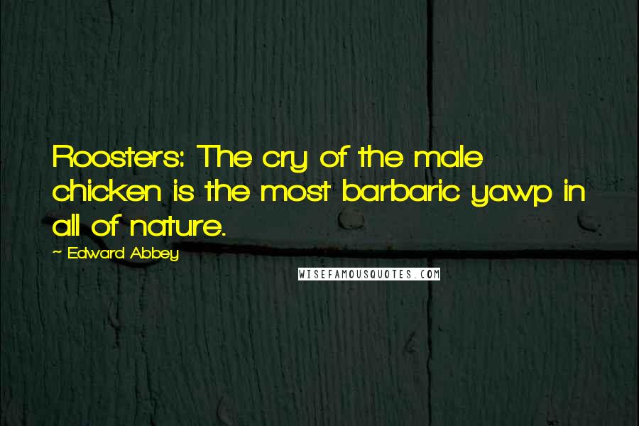 Edward Abbey Quotes: Roosters: The cry of the male chicken is the most barbaric yawp in all of nature.