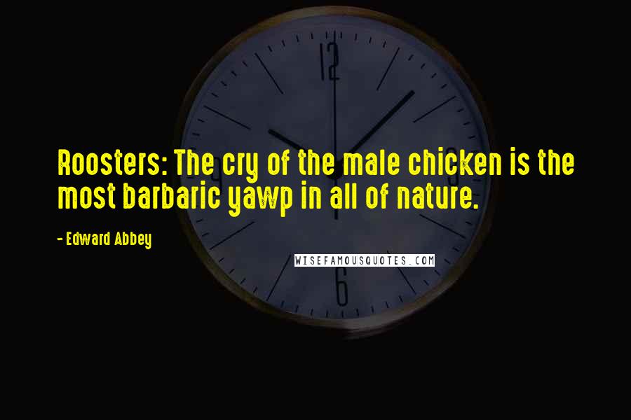 Edward Abbey Quotes: Roosters: The cry of the male chicken is the most barbaric yawp in all of nature.