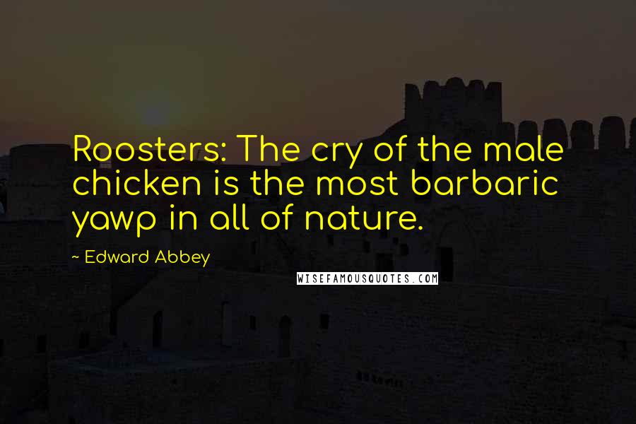 Edward Abbey Quotes: Roosters: The cry of the male chicken is the most barbaric yawp in all of nature.