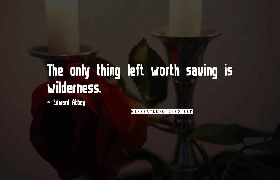 Edward Abbey Quotes: The only thing left worth saving is wilderness.