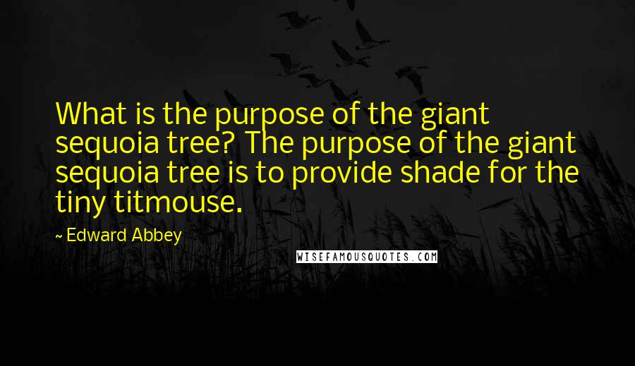 Edward Abbey Quotes: What is the purpose of the giant sequoia tree? The purpose of the giant sequoia tree is to provide shade for the tiny titmouse.