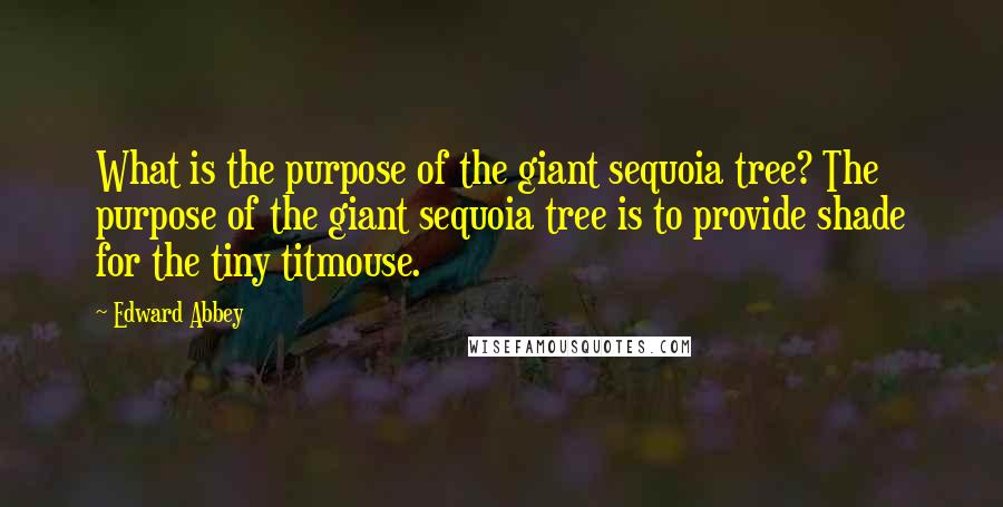 Edward Abbey Quotes: What is the purpose of the giant sequoia tree? The purpose of the giant sequoia tree is to provide shade for the tiny titmouse.