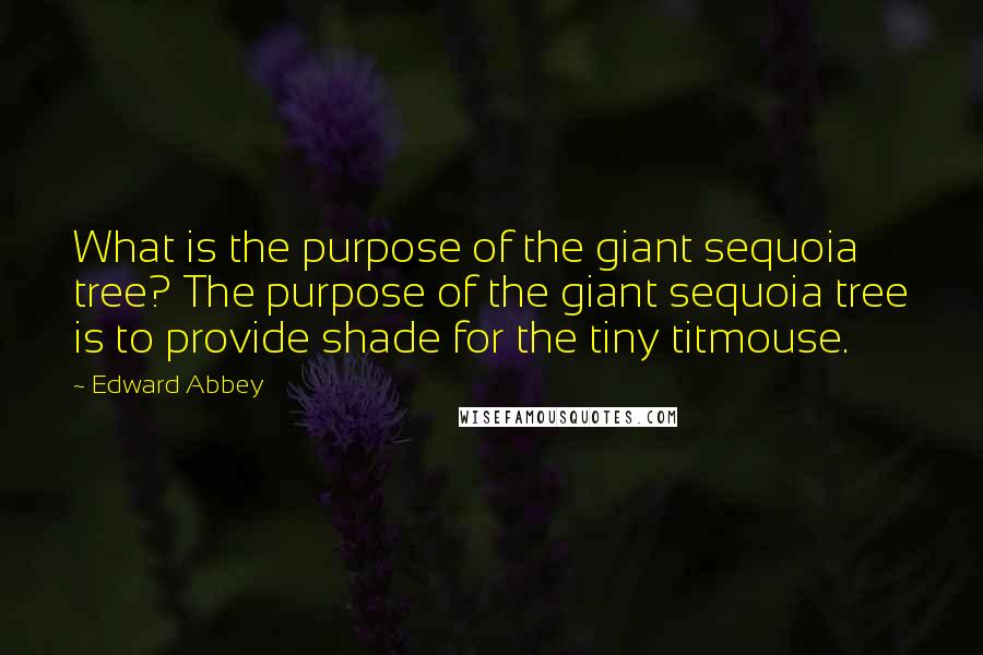Edward Abbey Quotes: What is the purpose of the giant sequoia tree? The purpose of the giant sequoia tree is to provide shade for the tiny titmouse.