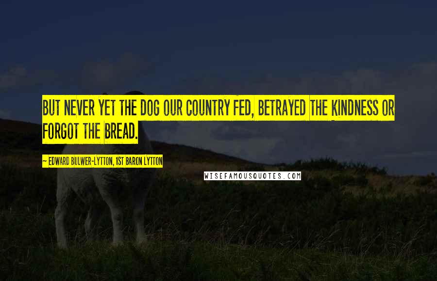 Edward Bulwer-Lytton, 1st Baron Lytton Quotes: But never yet the dog our country fed, Betrayed the kindness or forgot the bread.