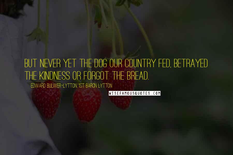 Edward Bulwer-Lytton, 1st Baron Lytton Quotes: But never yet the dog our country fed, Betrayed the kindness or forgot the bread.