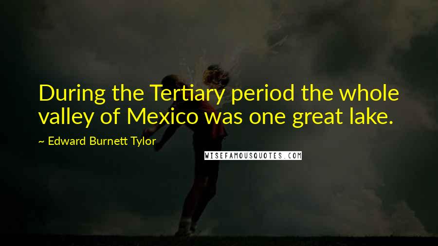 Edward Burnett Tylor Quotes: During the Tertiary period the whole valley of Mexico was one great lake.