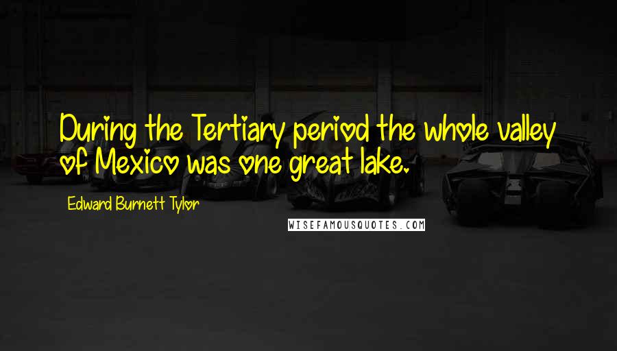 Edward Burnett Tylor Quotes: During the Tertiary period the whole valley of Mexico was one great lake.