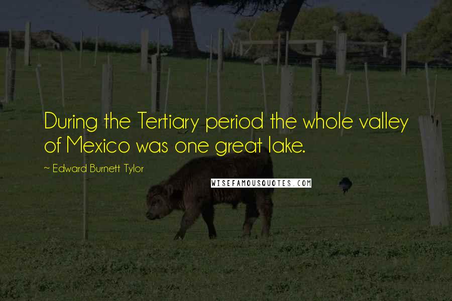 Edward Burnett Tylor Quotes: During the Tertiary period the whole valley of Mexico was one great lake.