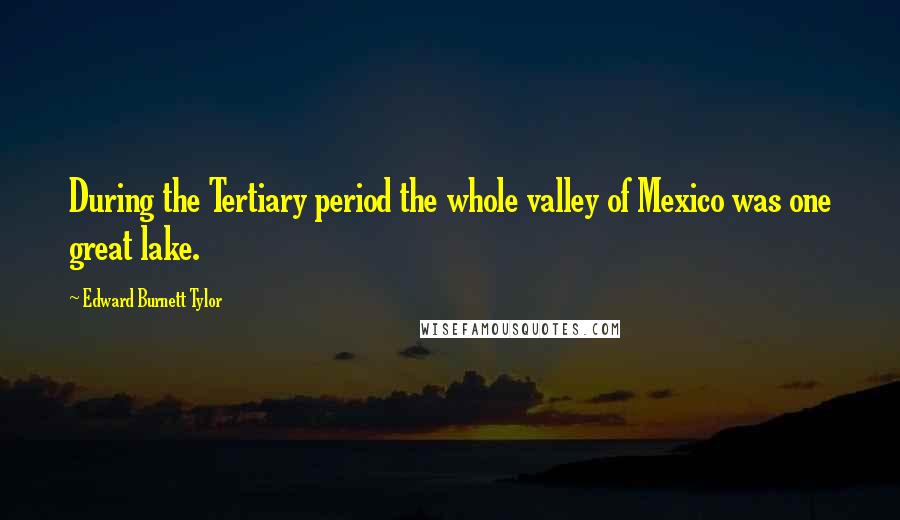 Edward Burnett Tylor Quotes: During the Tertiary period the whole valley of Mexico was one great lake.