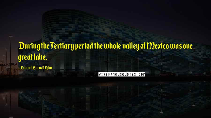 Edward Burnett Tylor Quotes: During the Tertiary period the whole valley of Mexico was one great lake.