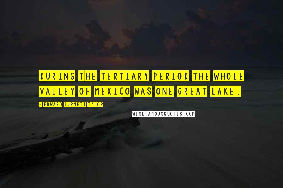 Edward Burnett Tylor Quotes: During the Tertiary period the whole valley of Mexico was one great lake.