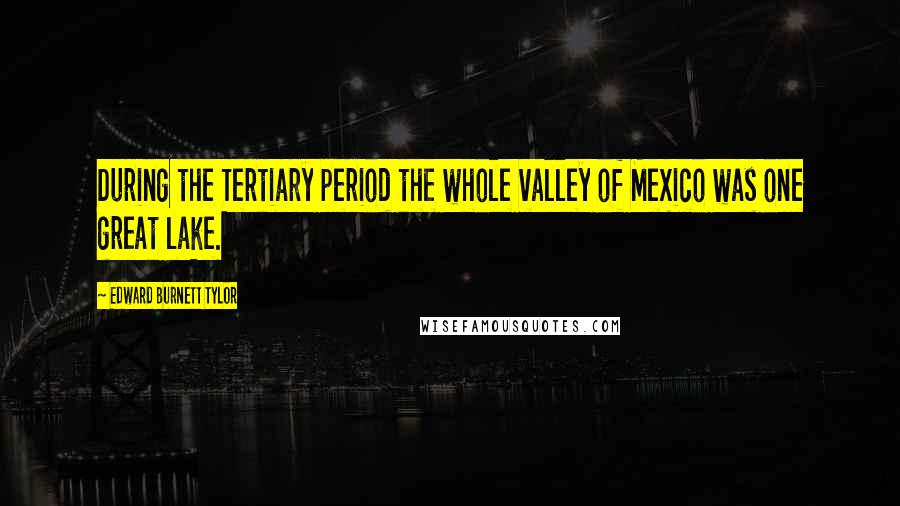 Edward Burnett Tylor Quotes: During the Tertiary period the whole valley of Mexico was one great lake.