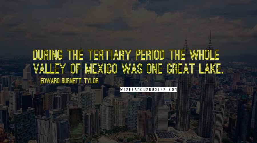 Edward Burnett Tylor Quotes: During the Tertiary period the whole valley of Mexico was one great lake.
