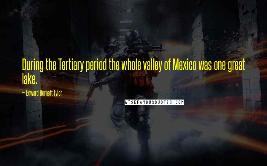Edward Burnett Tylor Quotes: During the Tertiary period the whole valley of Mexico was one great lake.