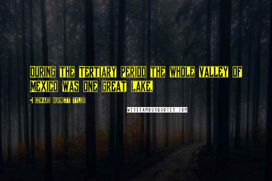 Edward Burnett Tylor Quotes: During the Tertiary period the whole valley of Mexico was one great lake.