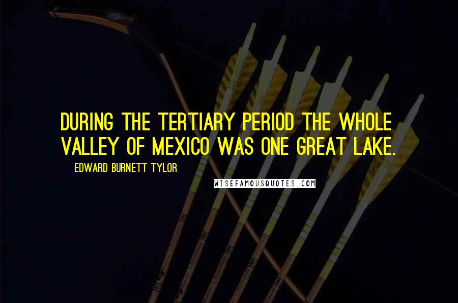 Edward Burnett Tylor Quotes: During the Tertiary period the whole valley of Mexico was one great lake.