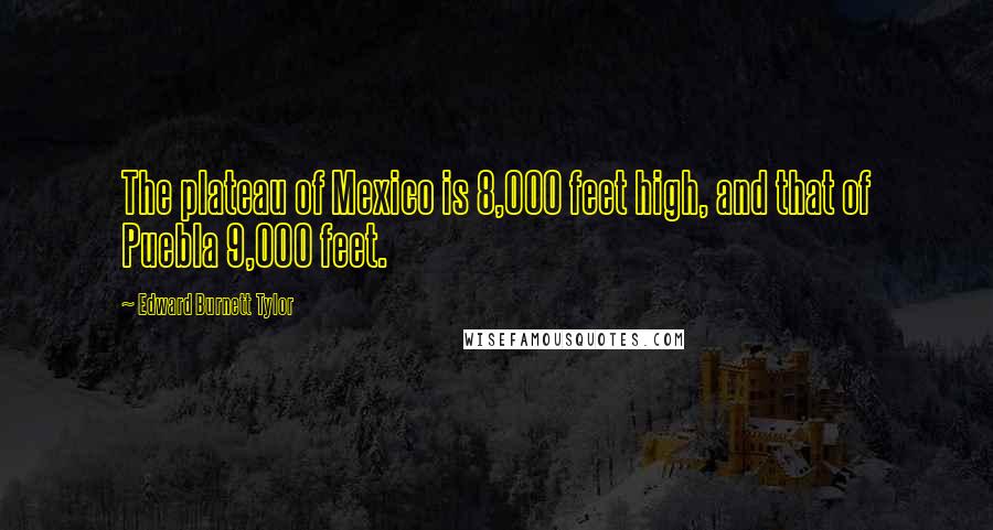 Edward Burnett Tylor Quotes: The plateau of Mexico is 8,000 feet high, and that of Puebla 9,000 feet.