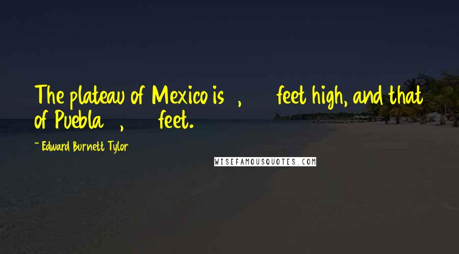 Edward Burnett Tylor Quotes: The plateau of Mexico is 8,000 feet high, and that of Puebla 9,000 feet.