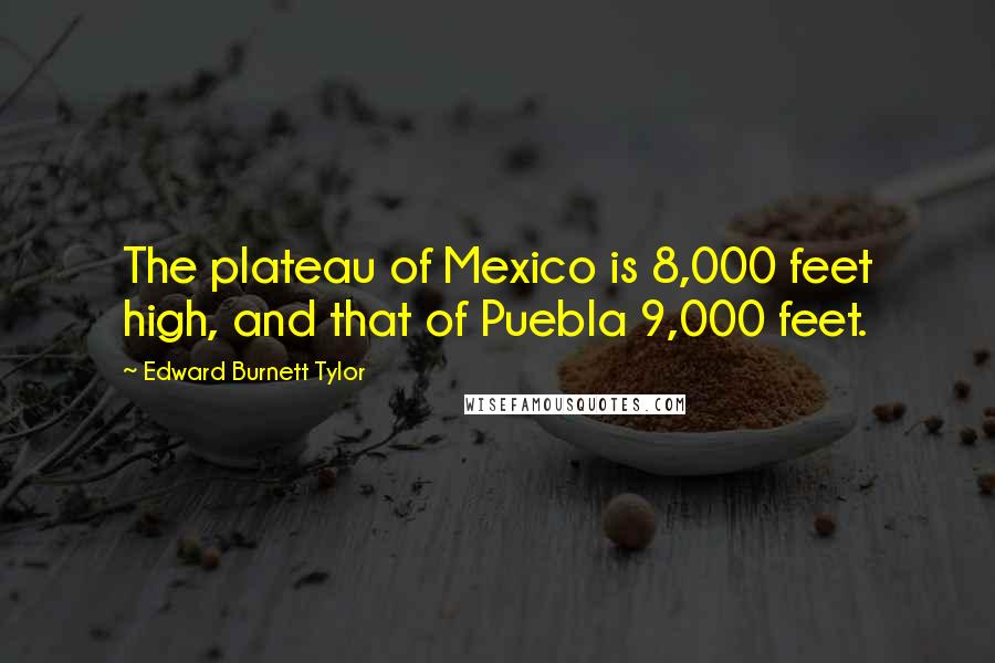 Edward Burnett Tylor Quotes: The plateau of Mexico is 8,000 feet high, and that of Puebla 9,000 feet.