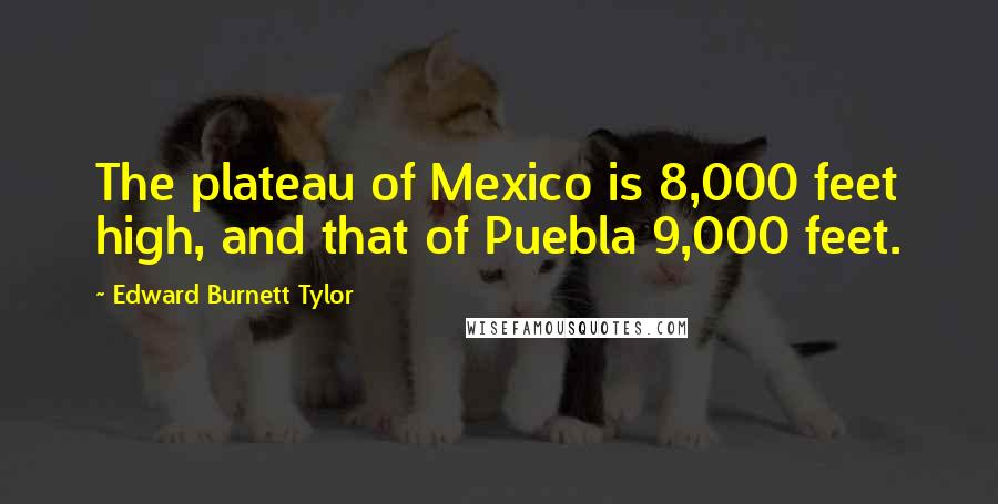 Edward Burnett Tylor Quotes: The plateau of Mexico is 8,000 feet high, and that of Puebla 9,000 feet.