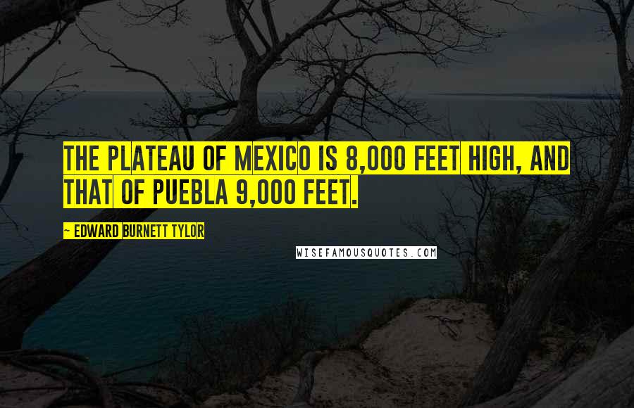 Edward Burnett Tylor Quotes: The plateau of Mexico is 8,000 feet high, and that of Puebla 9,000 feet.
