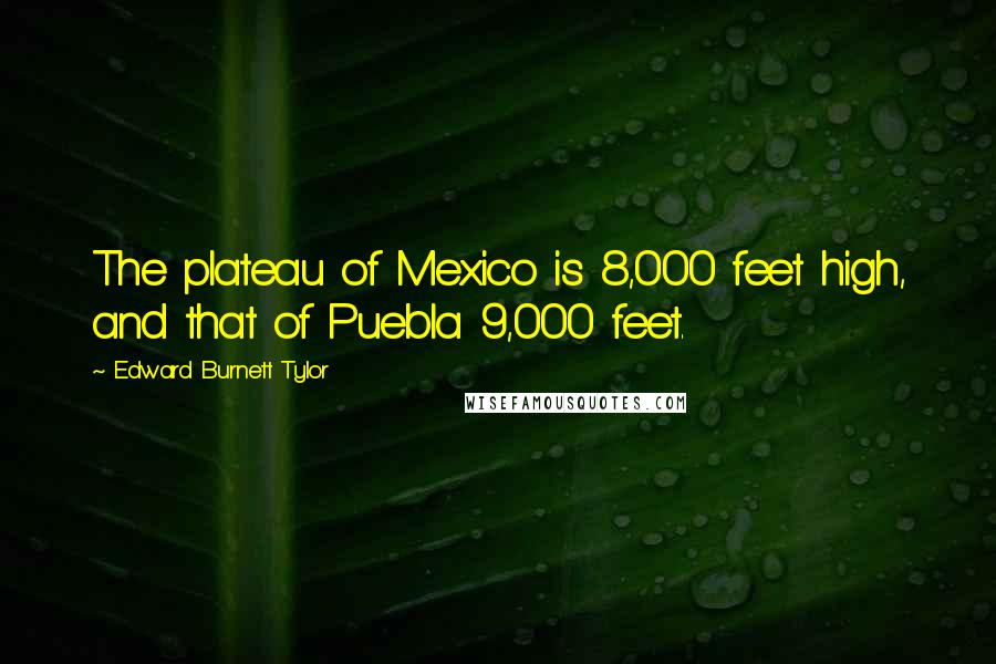 Edward Burnett Tylor Quotes: The plateau of Mexico is 8,000 feet high, and that of Puebla 9,000 feet.