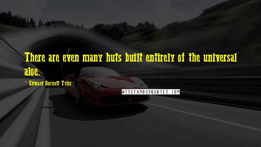 Edward Burnett Tylor Quotes: There are even many huts built entirely of the universal aloe.