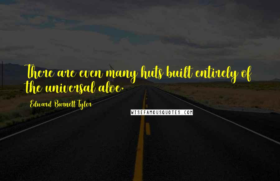 Edward Burnett Tylor Quotes: There are even many huts built entirely of the universal aloe.