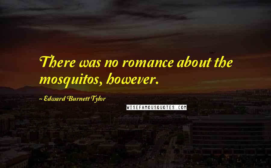 Edward Burnett Tylor Quotes: There was no romance about the mosquitos, however.