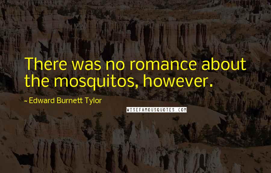 Edward Burnett Tylor Quotes: There was no romance about the mosquitos, however.