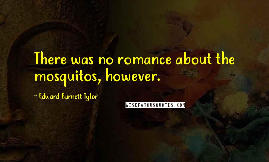 Edward Burnett Tylor Quotes: There was no romance about the mosquitos, however.