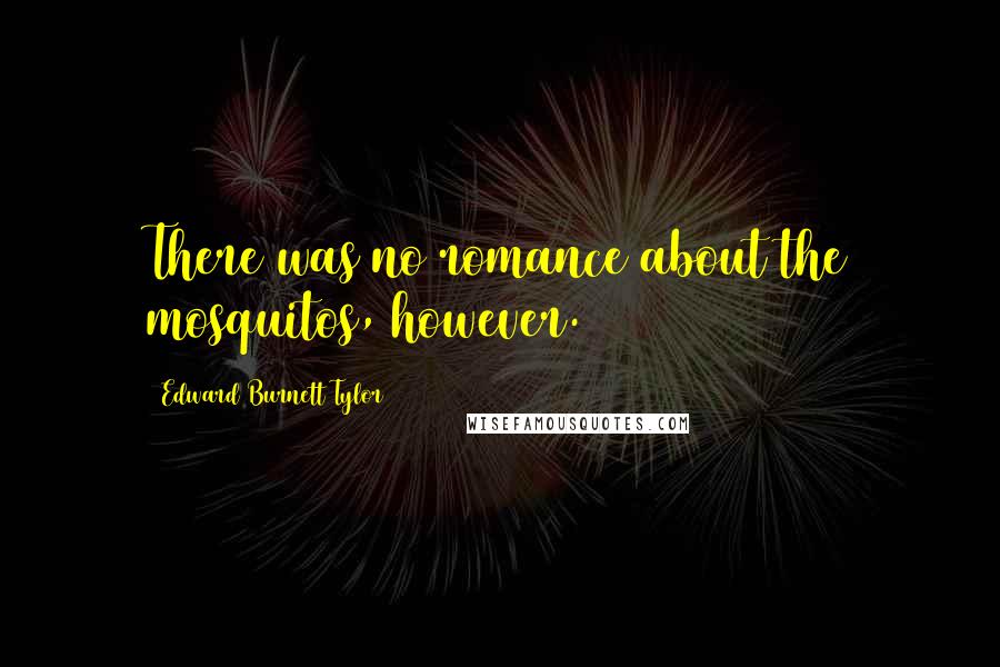 Edward Burnett Tylor Quotes: There was no romance about the mosquitos, however.