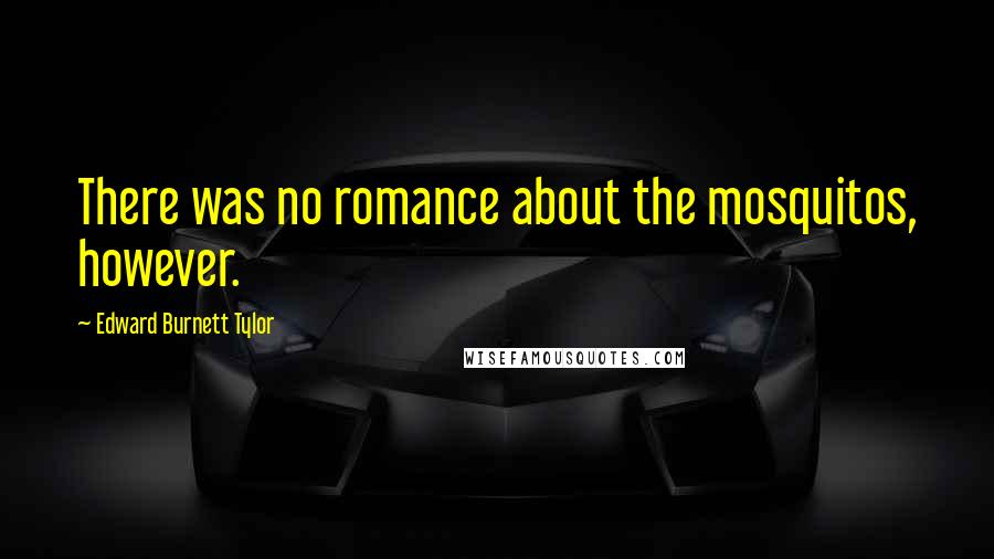 Edward Burnett Tylor Quotes: There was no romance about the mosquitos, however.
