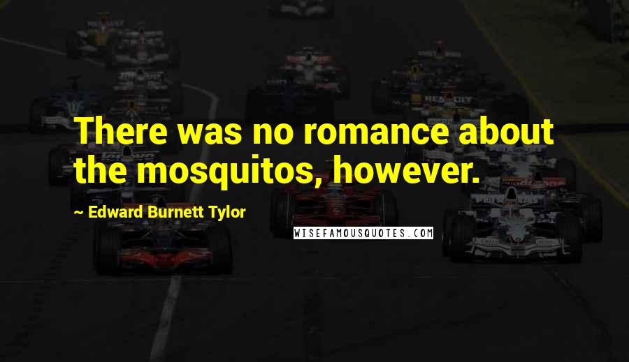 Edward Burnett Tylor Quotes: There was no romance about the mosquitos, however.