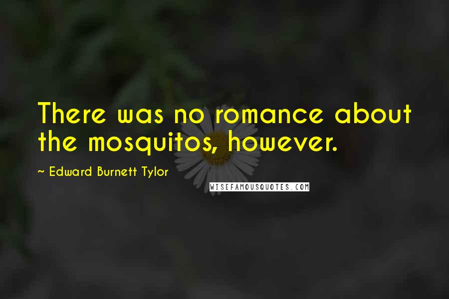 Edward Burnett Tylor Quotes: There was no romance about the mosquitos, however.