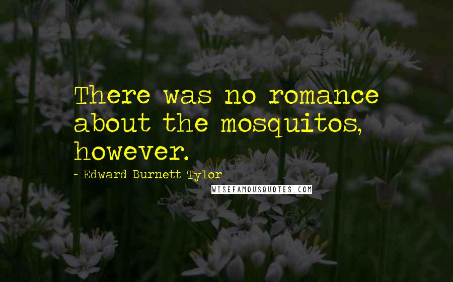 Edward Burnett Tylor Quotes: There was no romance about the mosquitos, however.