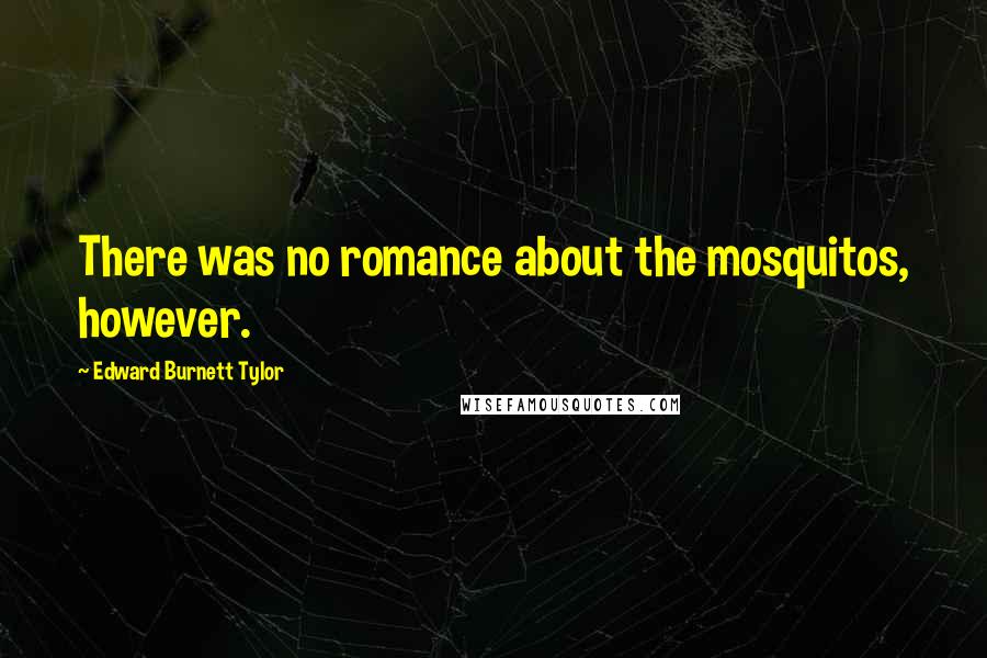 Edward Burnett Tylor Quotes: There was no romance about the mosquitos, however.