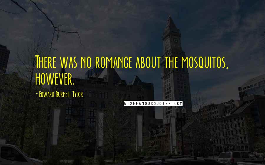 Edward Burnett Tylor Quotes: There was no romance about the mosquitos, however.