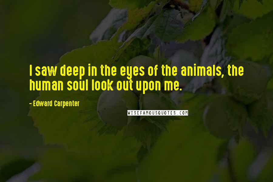 Edward Carpenter Quotes: I saw deep in the eyes of the animals, the human soul look out upon me.