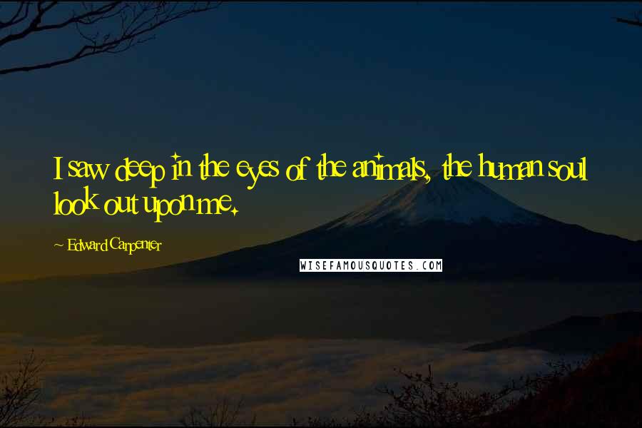 Edward Carpenter Quotes: I saw deep in the eyes of the animals, the human soul look out upon me.