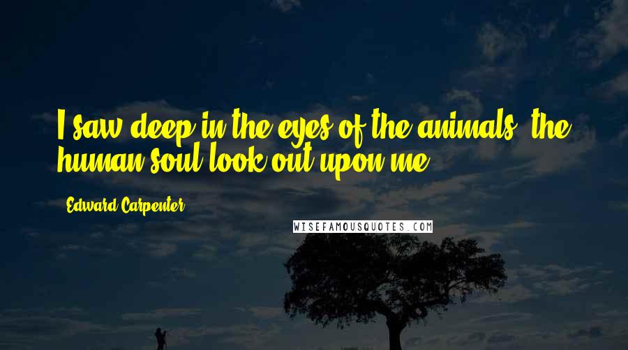 Edward Carpenter Quotes: I saw deep in the eyes of the animals, the human soul look out upon me.